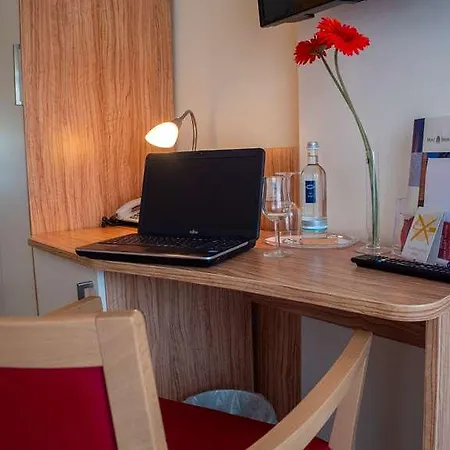 Trierer Hof 호텔 3*