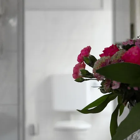 Отель Trierer Hof 3*