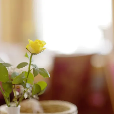 Trierer Hof 3* كوبلنس