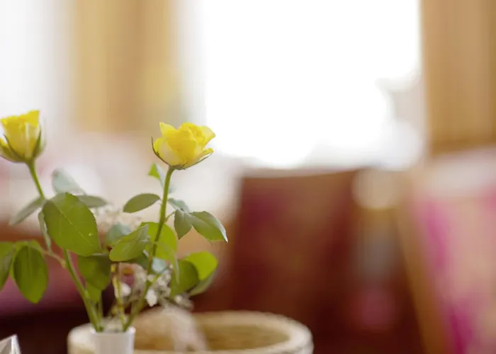 Trierer Hof 3* Coblenza